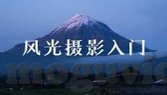 糖心app下载安卓版18-安卓版糖心APP的享用指南，探索智能生活的乐趣与安全边界