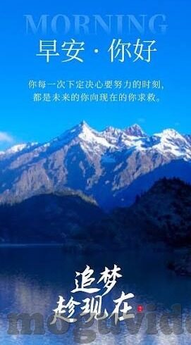 糖心vlog传媒app-糖心Vlog传媒App，记录生活，共享创意的年轻化平台